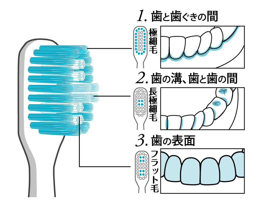 オーラルドクター 3way 音波式電動歯ブラシ DT-410WT | ファミリー